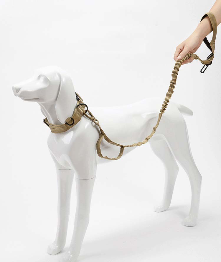 Manufacturer Nylon Tactical Double Handle Bungee Leash Adjustable Pet Dog Training Leash with Reflective Rope