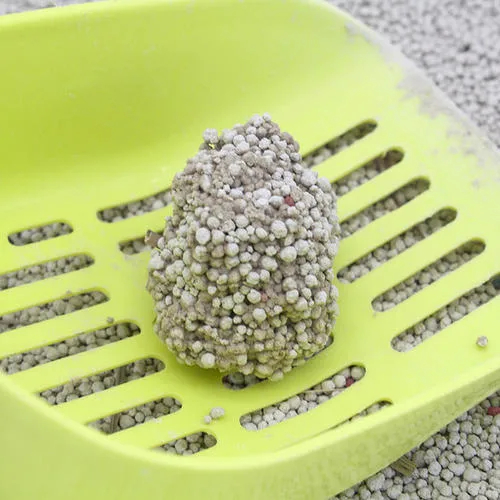Premium Quality 10L Mr. Balky Best Grade Fast Clumping Unscented Bentonite Cat Litter - Available for Wholesale