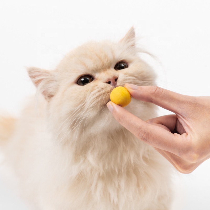 Hot Selling Air-Dried Clean Teeth Yummy Private Label Pet Products Food 100G Cheese Sticks Dog Food