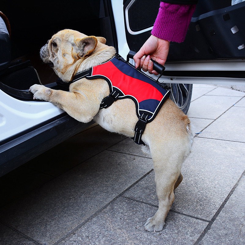 Luxury Service Dog Harness Set Designer Custom Logo Thermal Auxiliary No Pull Pet Harness and Leash Waterproof