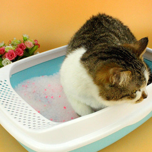 lemon perfume customized cat litter odor control free sample density fine colored cat sand