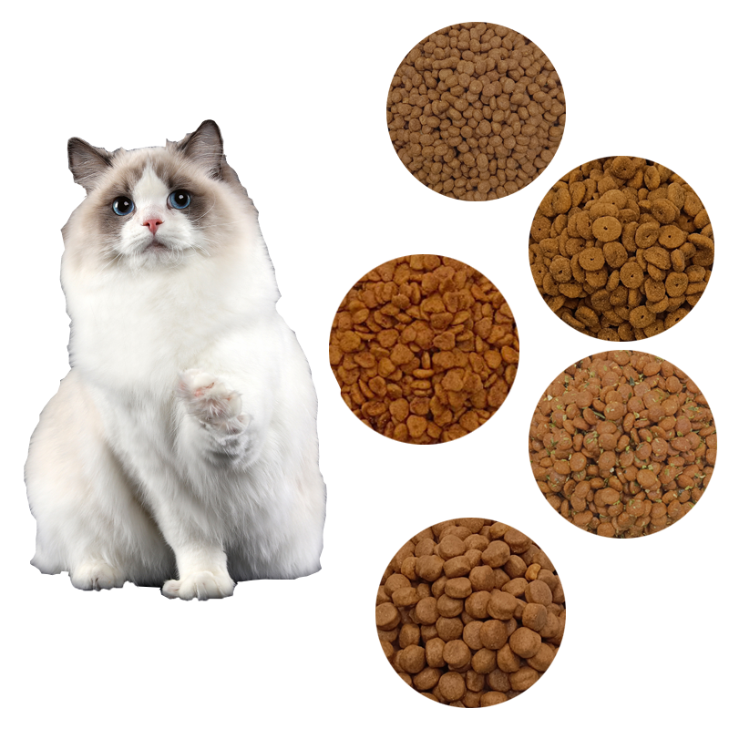 Free Samples All Stages Dry Food Cats Nutritionally Balanced Cheap Food Cats OEM Factory MultipleShape Multiple Flavors Bulk