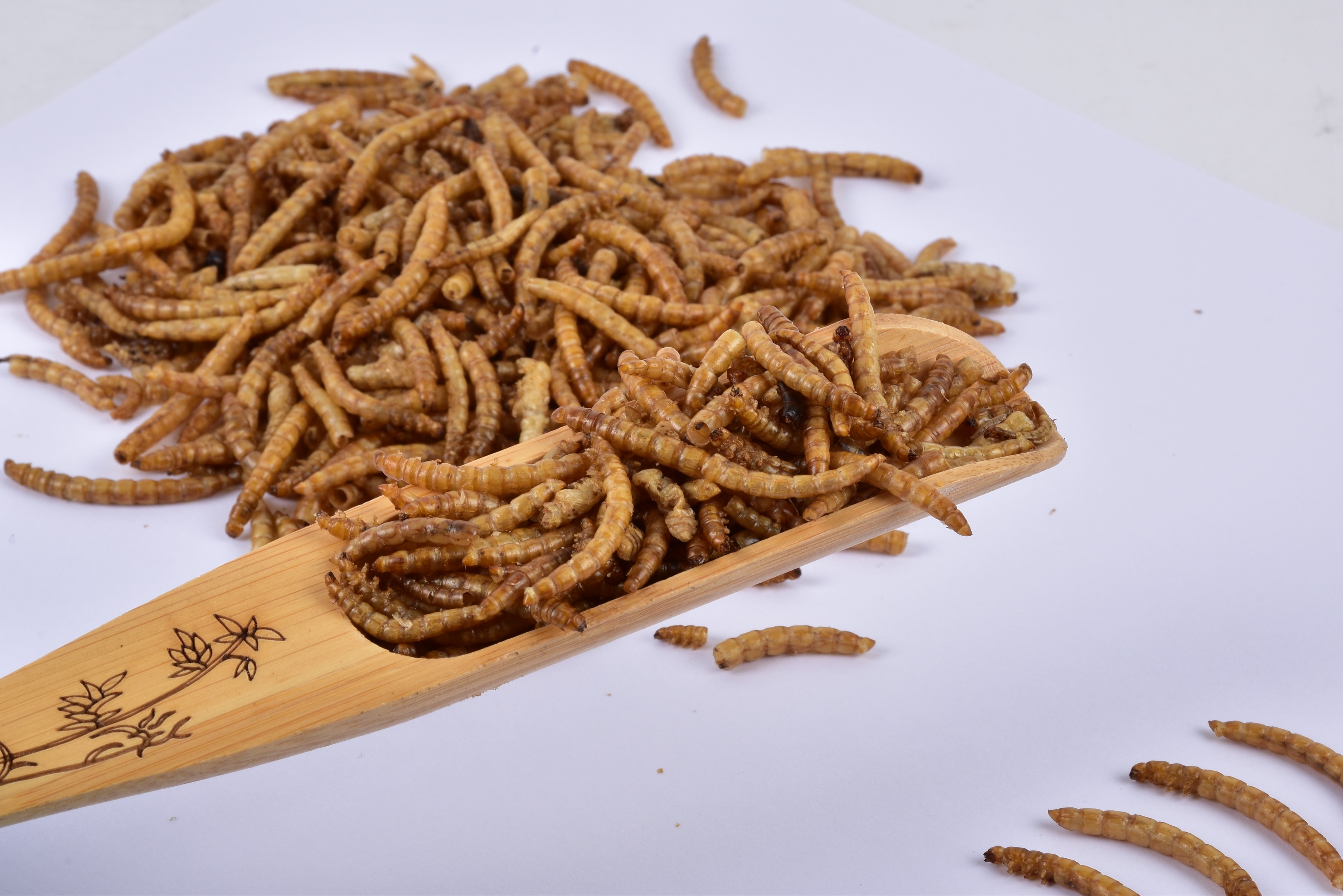 [SINO CROWN] Dried Mealworm Dried Insects Tenebrio Molitor Animal Feed Grade Powder