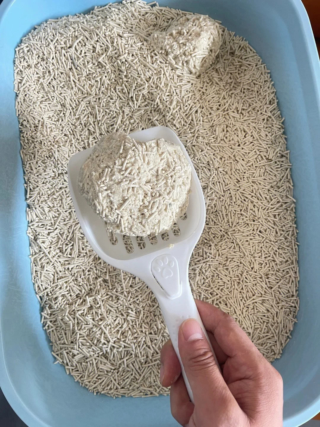 Factory Wholesale Cat Litter High Quality Eco Friendly Low Tracking Tofu Cat Litter Sand