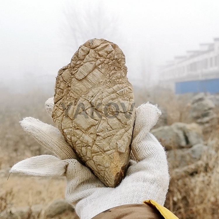hot sales 10-30cm fish tank aquarium decoration ancient turtle grain stone,Moire stone
