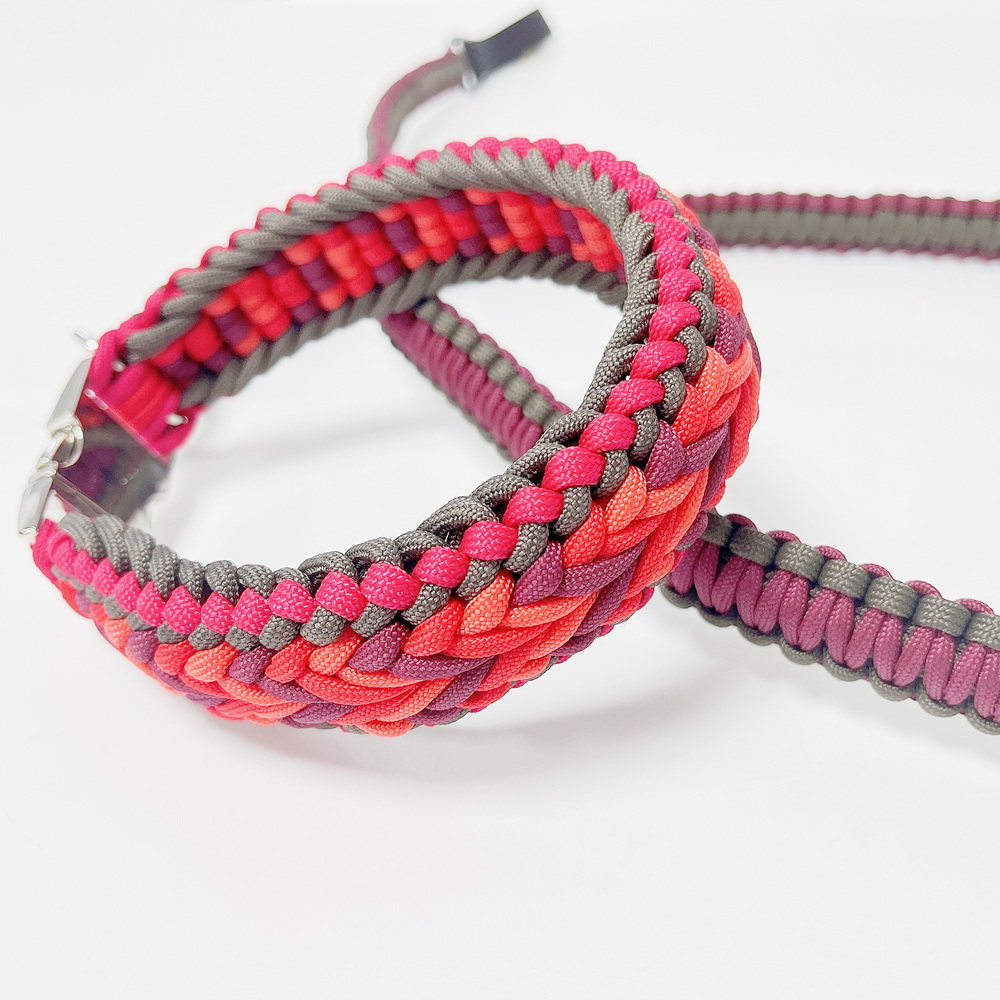 collar leash set new pet products 2022 innovative product correas para perros metal buckle chien swivel carabiner for dog leash