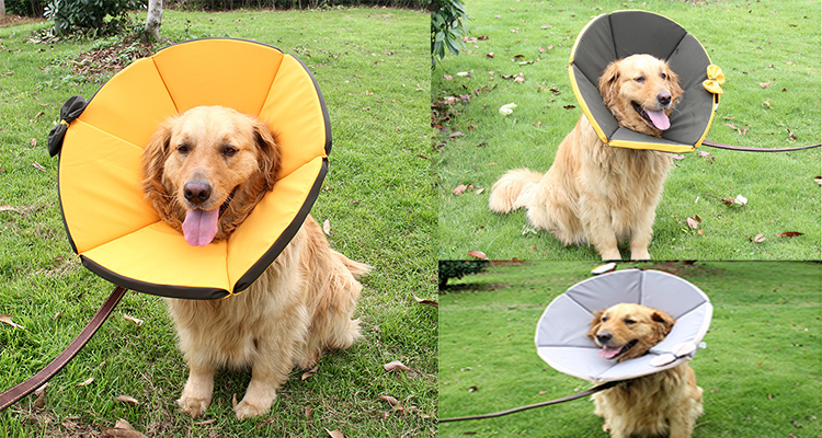 Adjustable Dog And Cat Neck Collar Prevent Licking And Protect Wounds