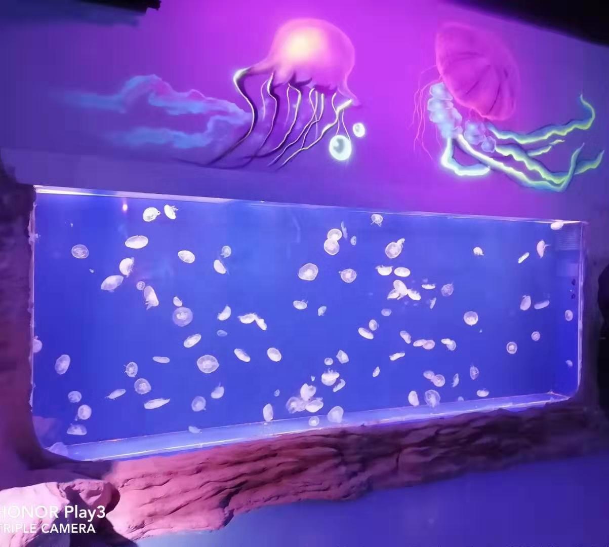 transparent acrylic Jellyfish tank aquarium