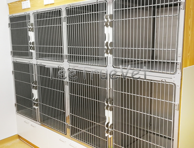 4 door stainless steel Full-rounded corner cage for animal clinic or hospital dog and pet boarding