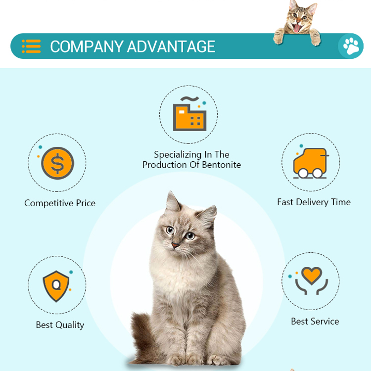 Customized Dust Free Cat Sand Biodegradable Broken Sand Cats Size Large Broken Cat Sand Scoop For Toilet Poop Cleaning