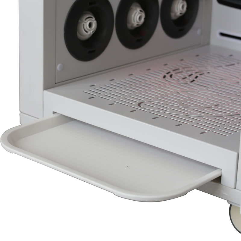 pet dryer box quiet efficient quick drying high-power dog blowing pet dryer box wholesale factory Automatic animal dryer cabinet