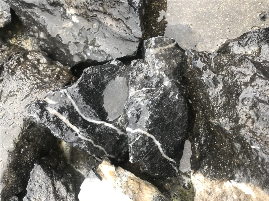 tiger skin stone Irregular Dragon Stone Rock Aquarium Decoration Landscape Stone