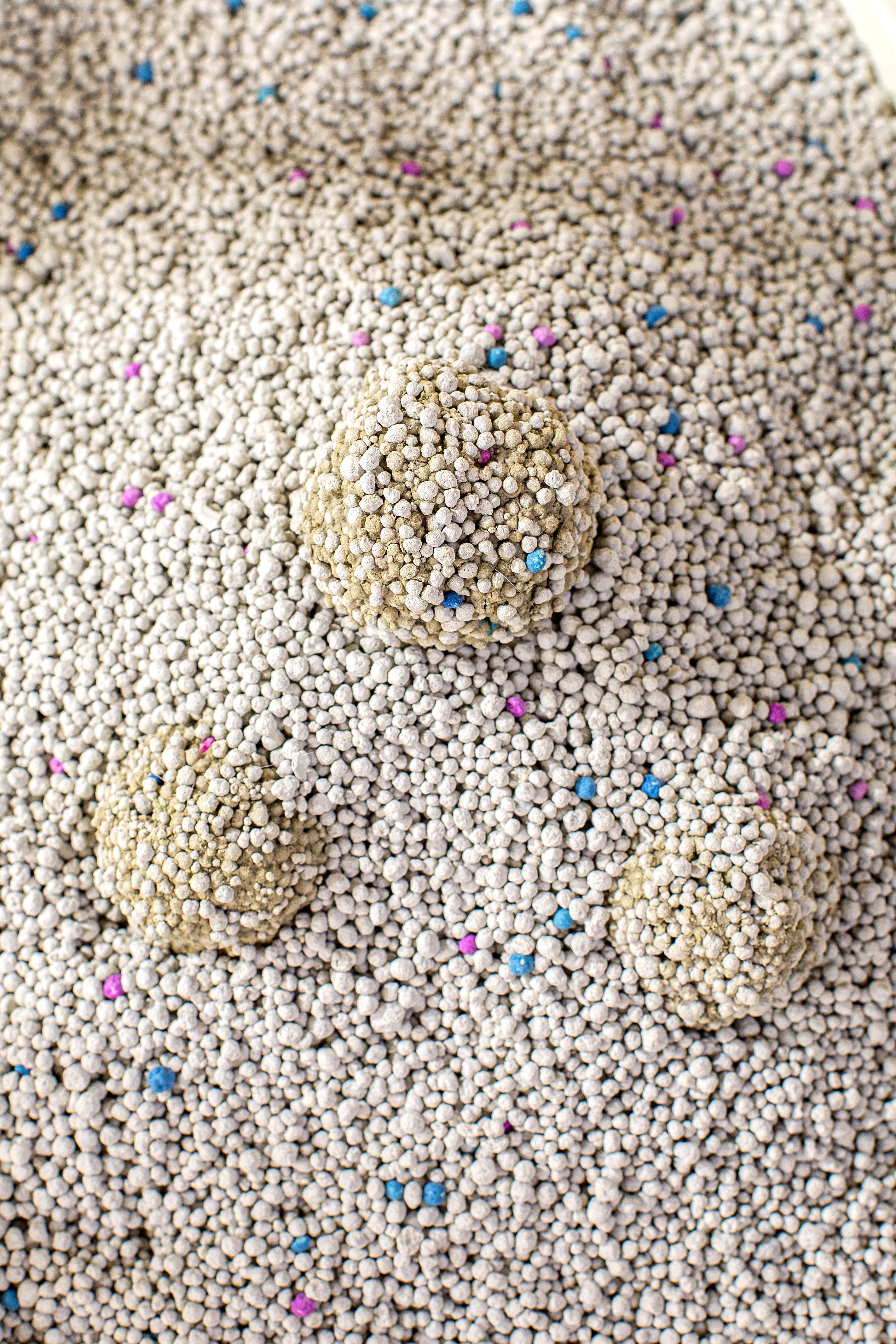 Top seller 2024 cat litter wholesale high quality bentonite cat litter