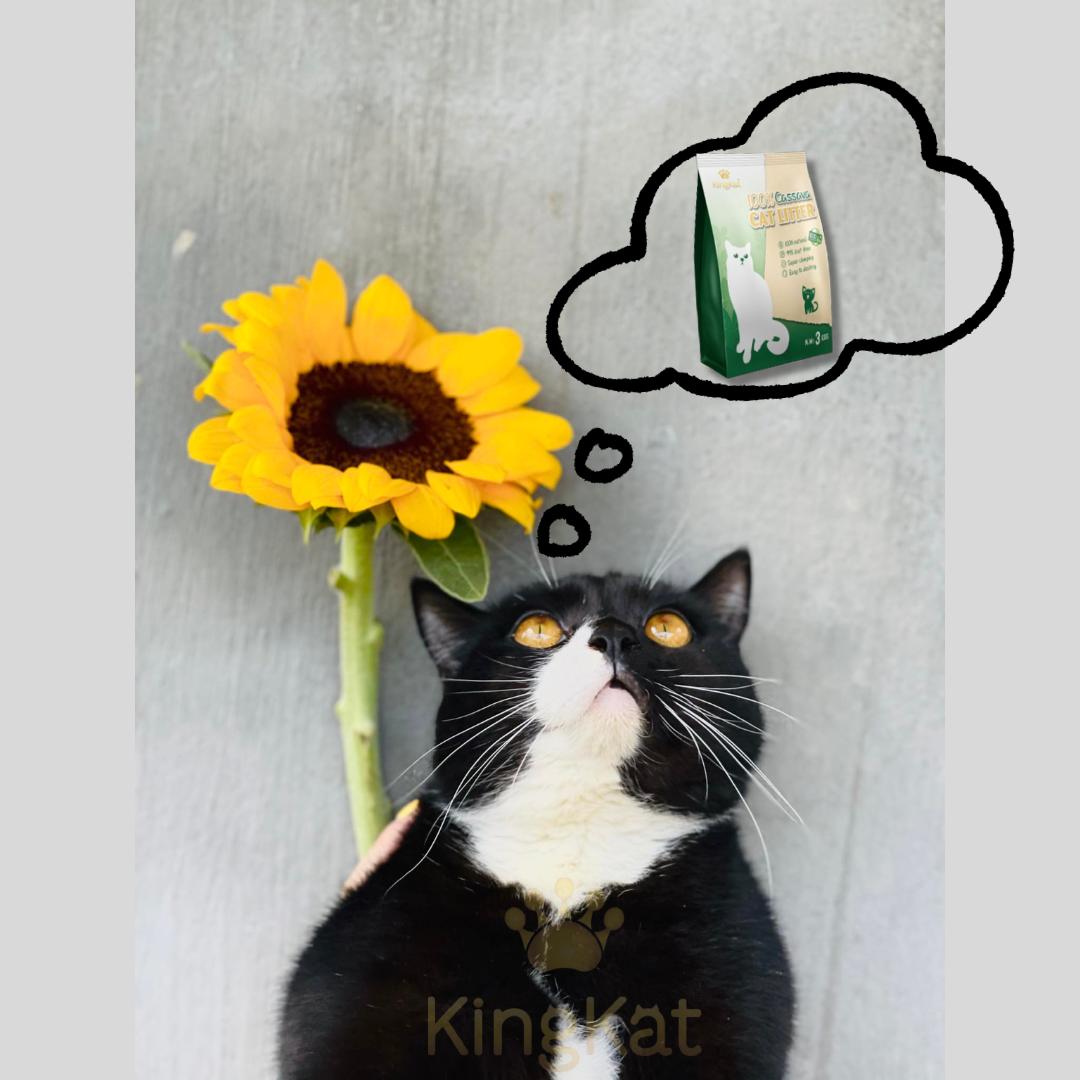 Exclusive Eco-Friendly Natural Cassava Tapioca Starch Cat Litter Sand Sustainable Flushable Ball Pattern Safe Your Feline Friend