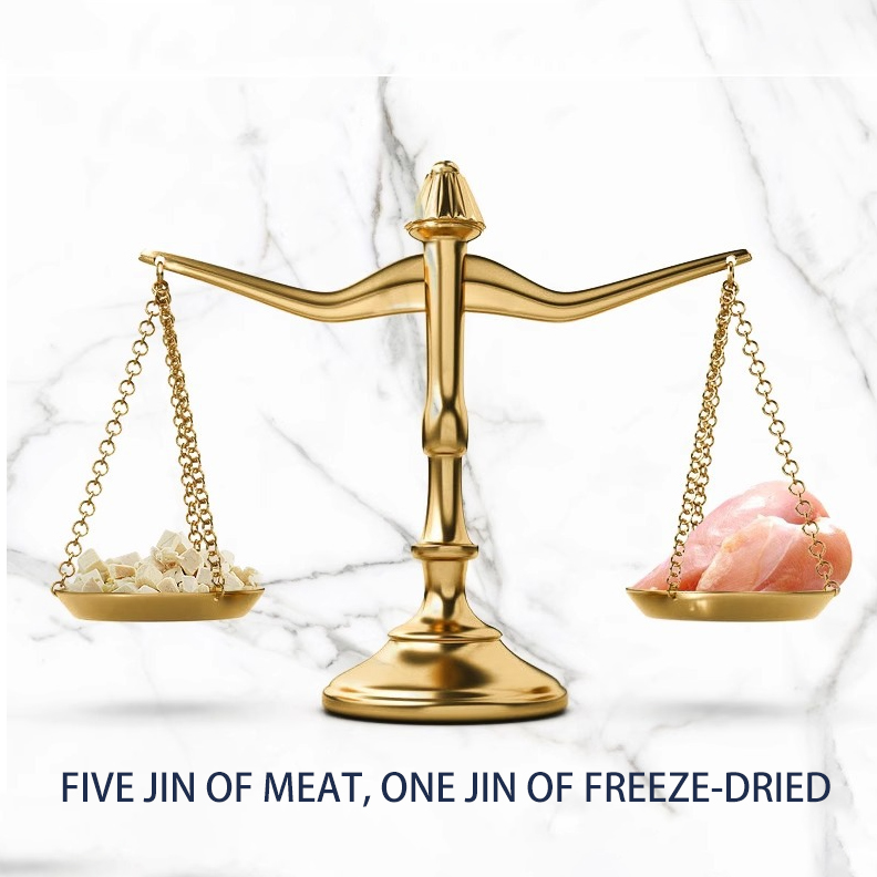 TTT Hot Sale Other Pet Food Freeze Dried for Cats Snacks Nutritious Kittens Adult Chicken Breast Salmon Cod Treats