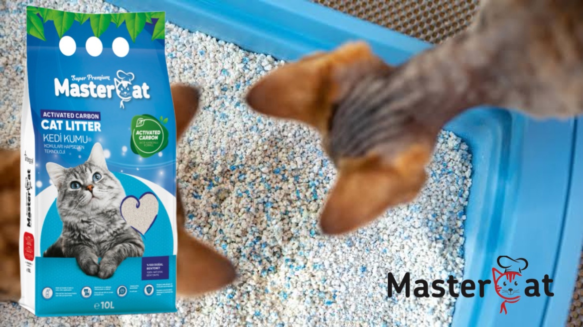 High Quality MasterCat Sand Marseille 10L Fast Clumping Scented Bentonite Cat Litter Flushable Natural Soup Ball Pattern