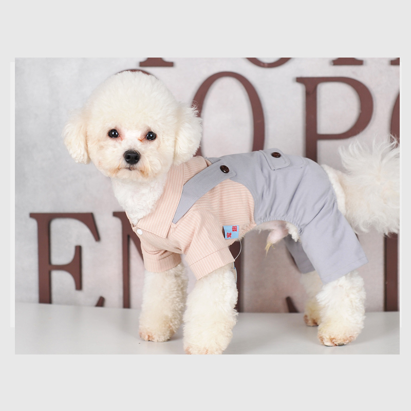 Wholesale Customized Pet Dog Clothes 2020 New autumn winter Stay warm pet costume