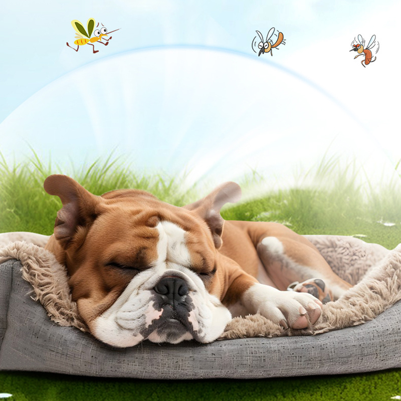Flea and Tick Pet Collar Cat Mosquito Prevention Natural Essential Oils Large Dogs Puppies Washable 12 Months Protection Trimmable W0242 2d4