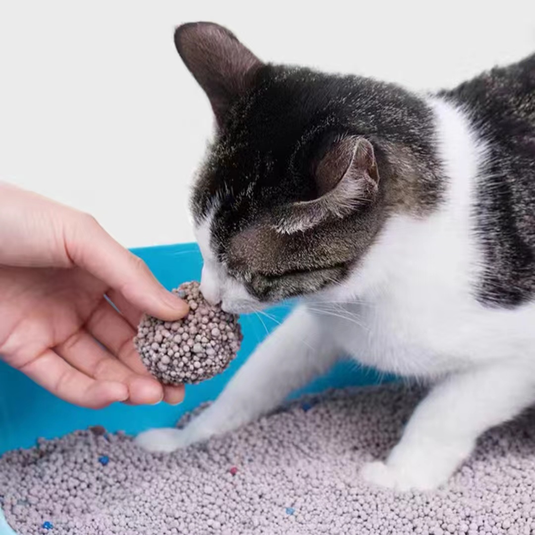 cheap competitive price strong odor control instant clumping low tracking customized scent bentonite cat litter