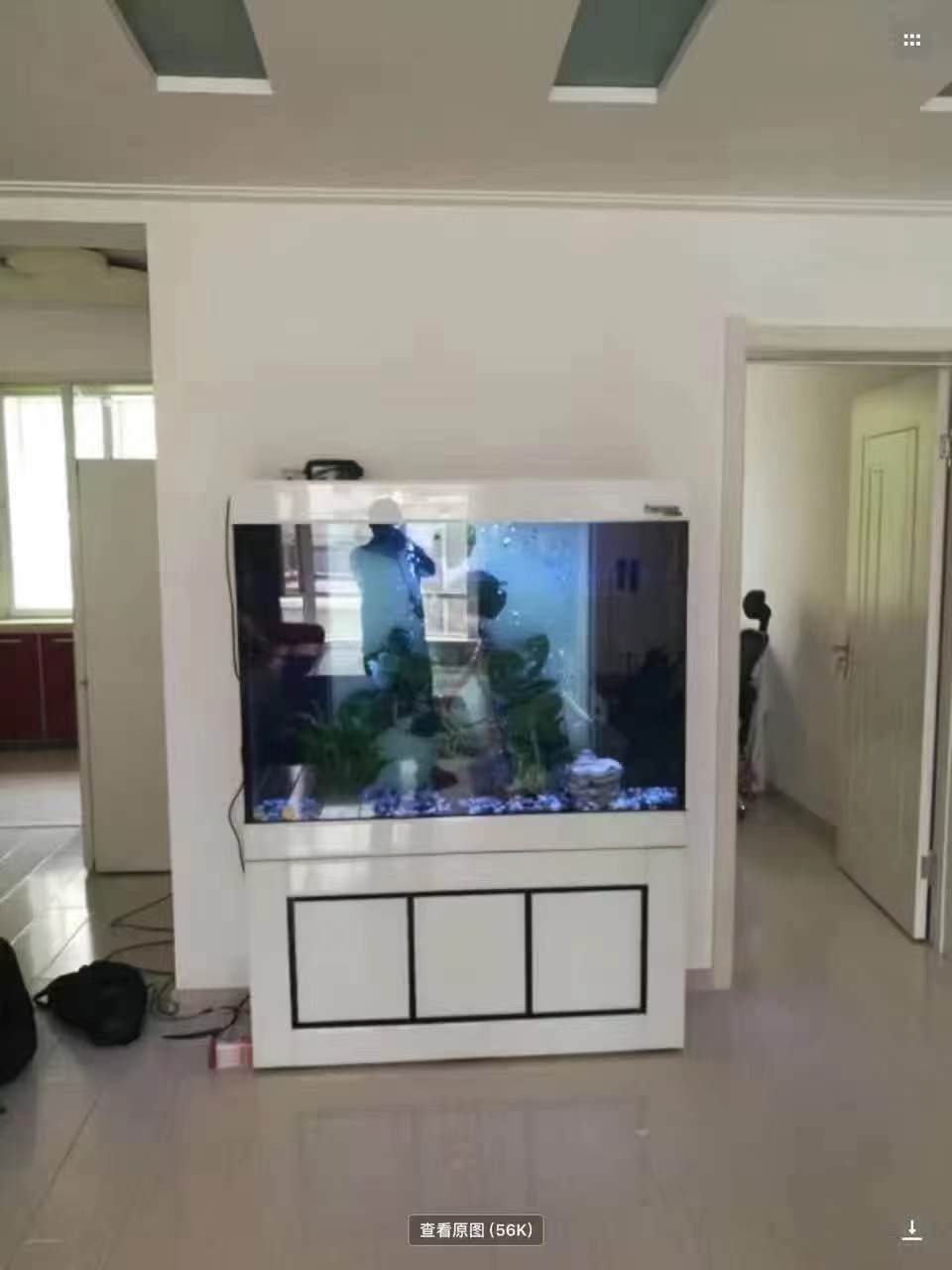 WOLIZE Vertical Door Chinese Dragon Moving Fish Transport Tank For Home Big Fish Tank