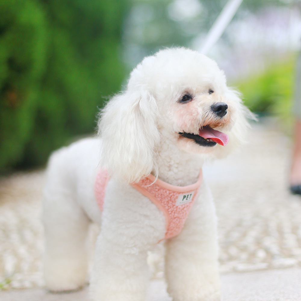 Dropshipping New Traction Rope Breathable Dog Pet Chest Harness Set
