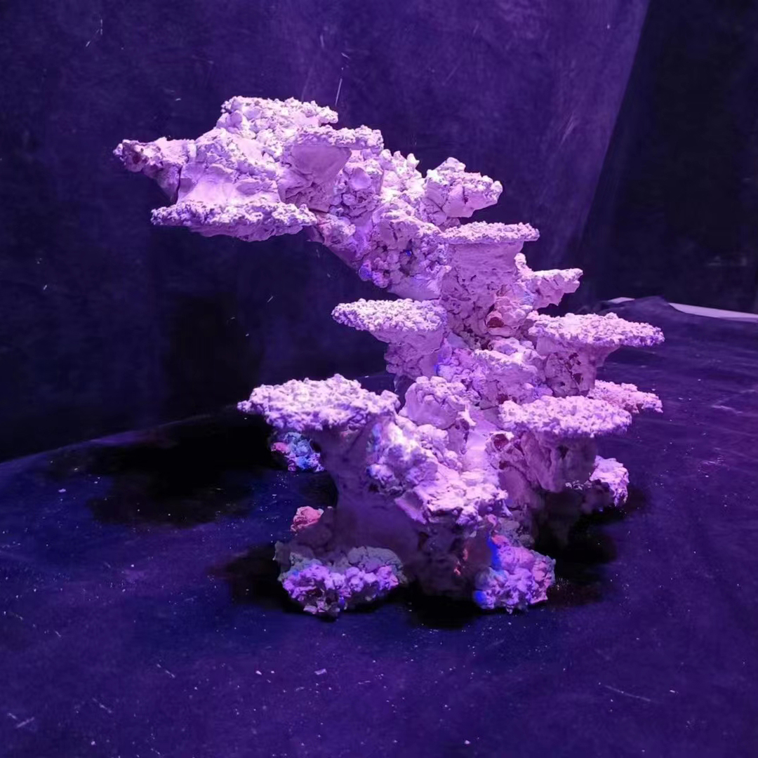 Custom Made 60cm Fish Tank Aquarium Decoration Aquascaping Stone Rock for Sale
