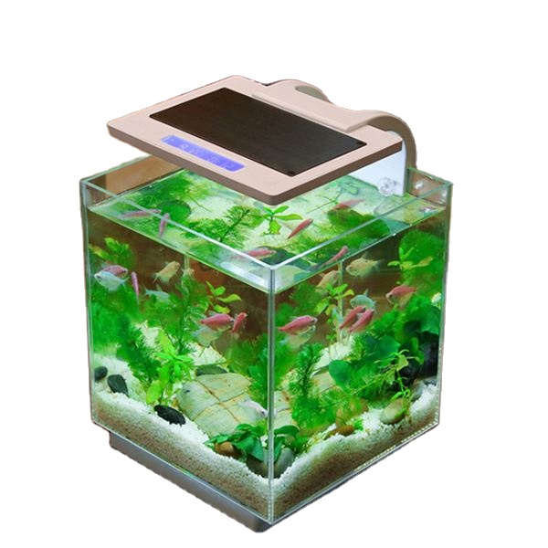 sunsun wholesale 1 gallon fish tank