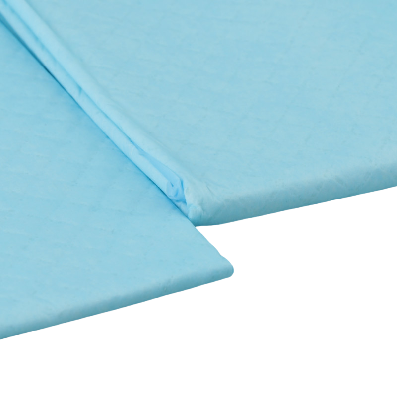 Indoor Pet Urine Absorbent Training Pee Pads Nappies for Animals Thick Deodorizing Dog Diaper with Printed Feature