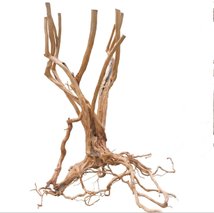 Professional Basin Wood Driftwood Art Wood Flower Basin