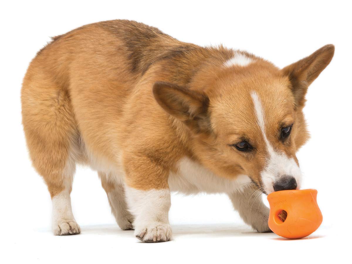 OEM ODM Pet Food 100% Freeze Dried 100g Chicken Meat Treats For Dogs and Cats Food Pet Cat Dog Treats