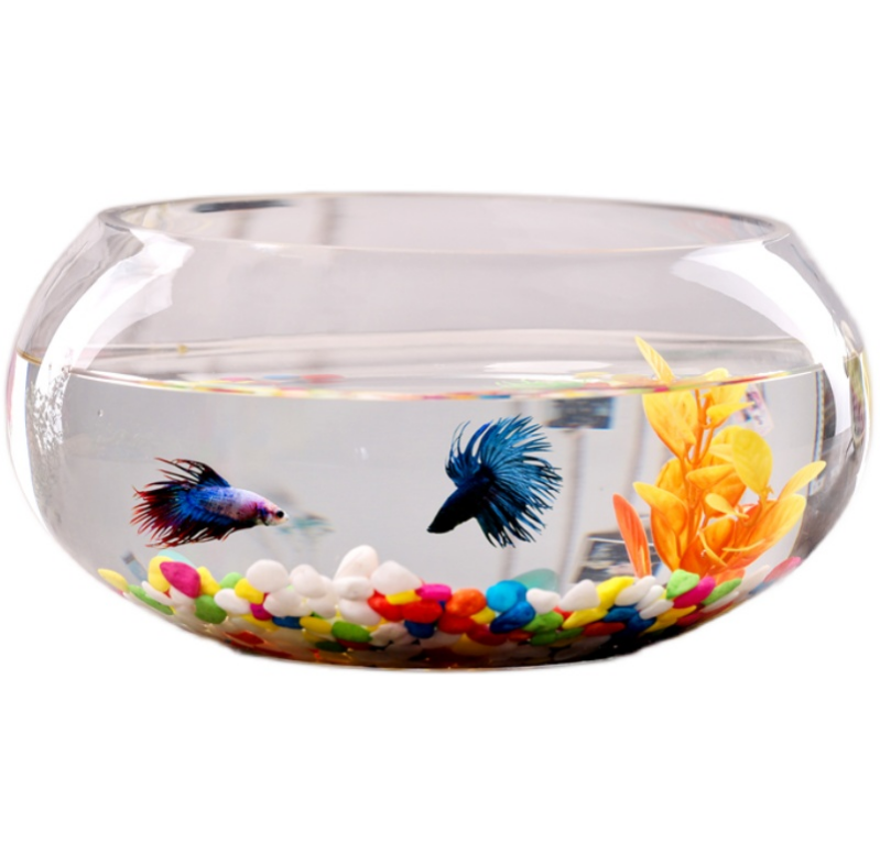 Wholesale Hight Quality Circular Fish tank Round Small/Mini Glass Portable Fish Tank