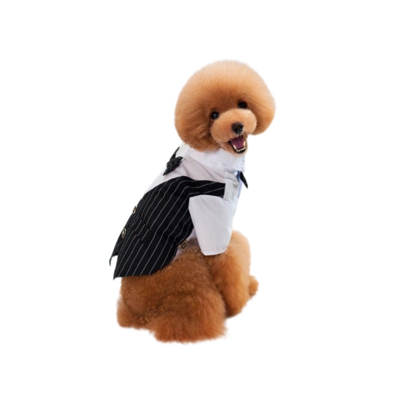 New Type Halloween Skull Black Pet Clothes for Dog and Cat Fascinating Price Cotton XXL Size for Summer and Winter Parties