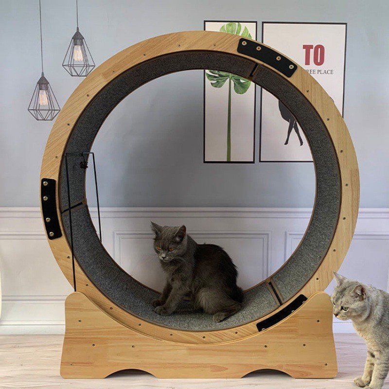 Multi-function cat scratch board climbing frame pet non-fumigation solid wood treadmill wear-resistant cat sports trainer