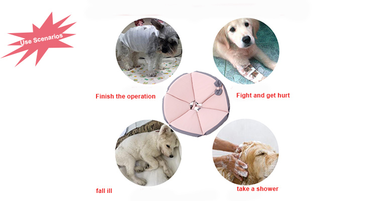 Adjustable Dog And Cat Neck Collar Prevent Licking And Protect Wounds