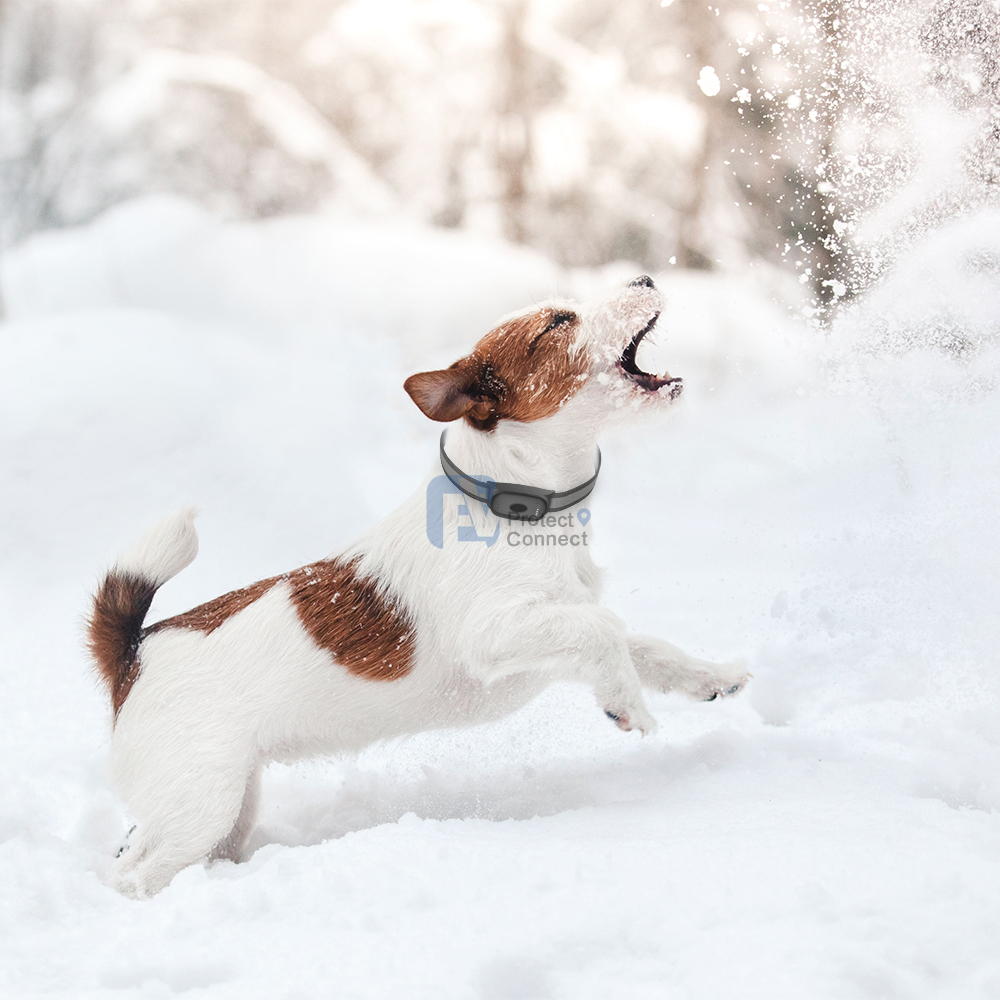 GPS Technology Dog Tracking Device Geo fencing alarm Pets Finder 2G GPS Tracker For Dogs