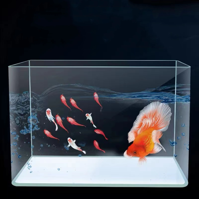 hot sizes various models curved glass aquarium fish tank sets