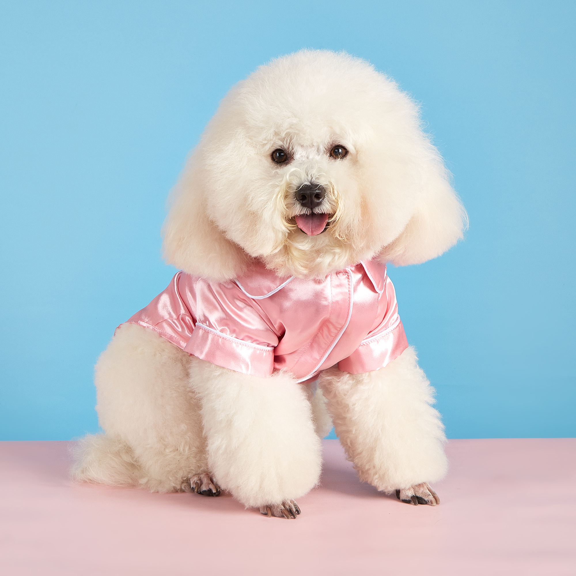 Designer Summer Cool Pet Clothes Small Dogs Cats Pajamas Soft Silk Lapel Two-Legged Dog Sleepwear Clothes Shirt for All Season