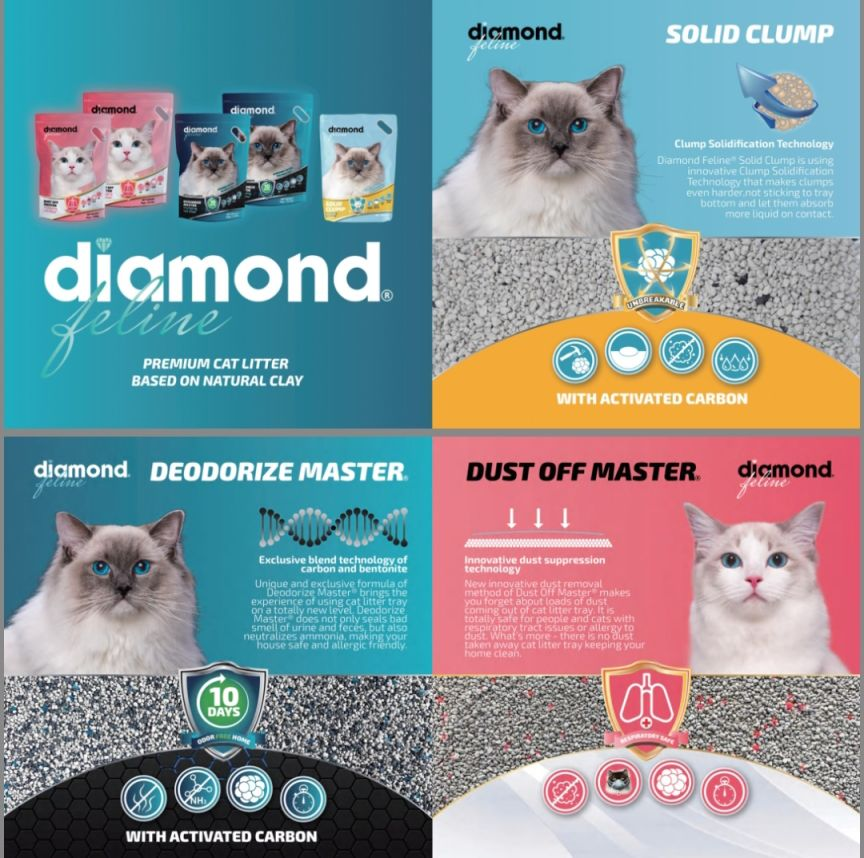 best seller products 2024 bentonite cat litter sand wholesale