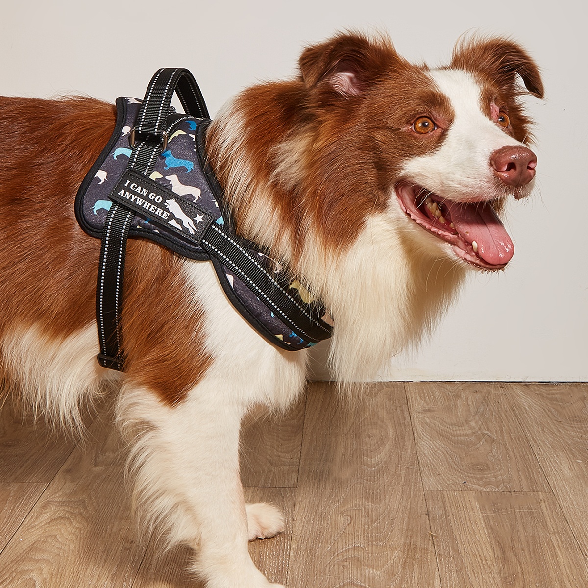MIDEPET Custom LOGO Accept Pet Product Supplies Front Clip No Pull Dog Harness Print Upgrade Heavy Duty Reflective Fashion 50pcs