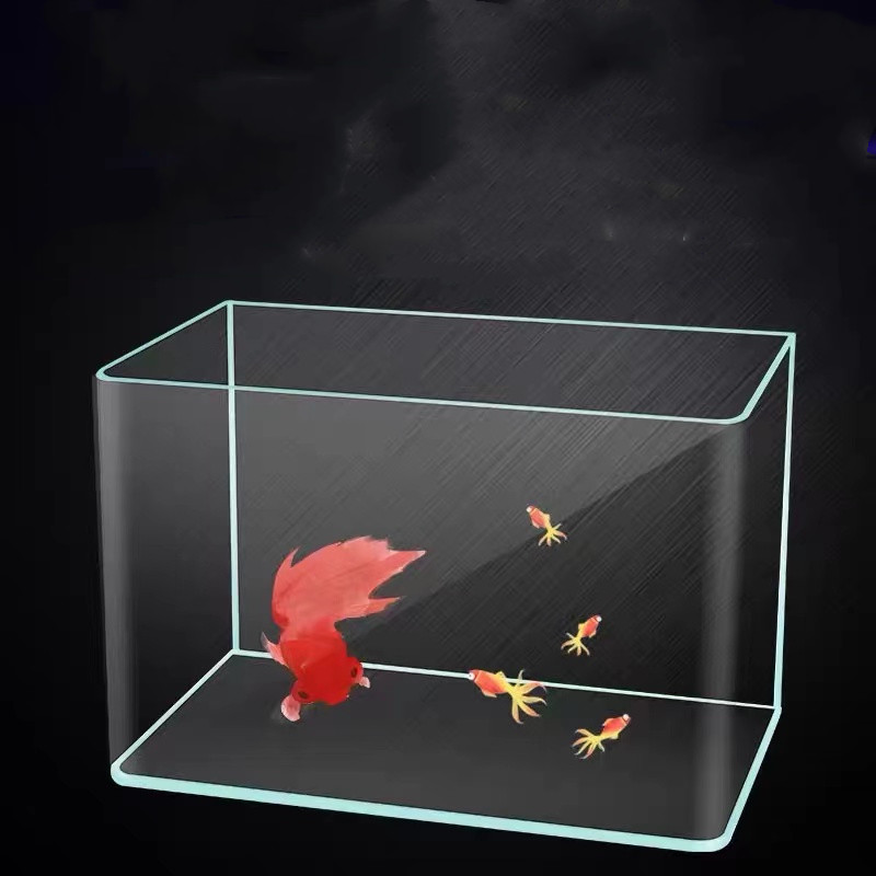 Foshan Nanhai Factory Price All Types Customized Glass Aquarium 5 In 1 Glass Fish Tank