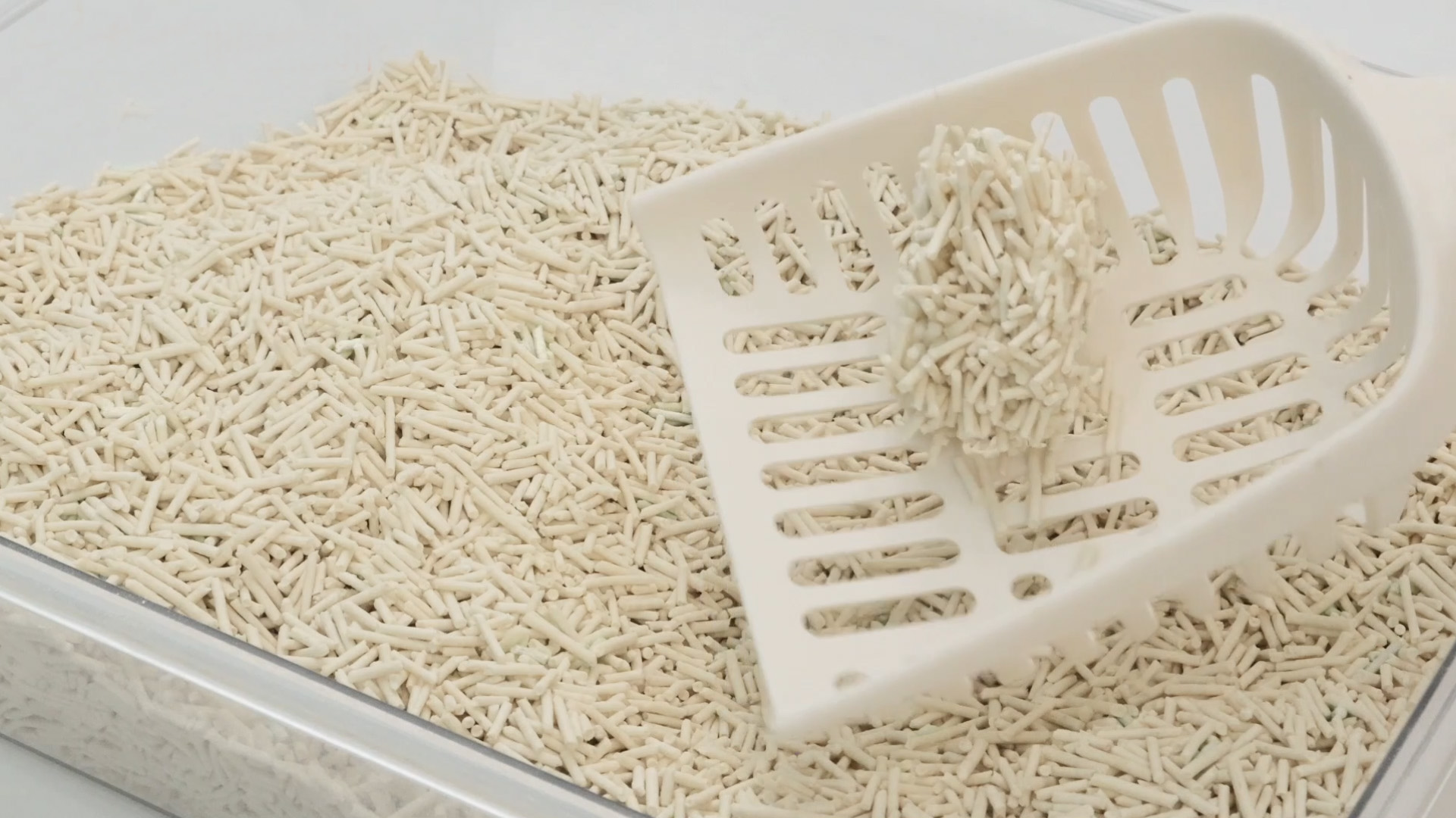 New Product Hot Sale Best Clean tofu Cat Litter 10kg Green Tea Flavor Degradable Plant tofu Cat Litter Low Price