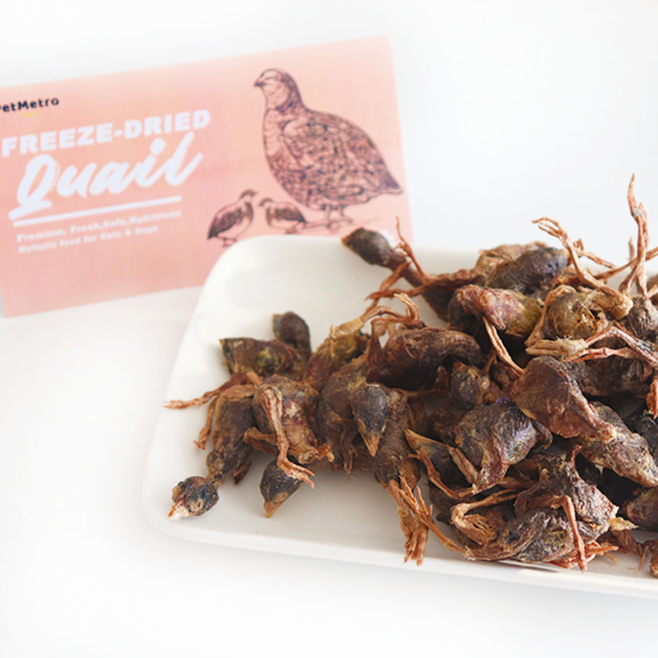 Hot sale Freeze-dried quail pet snacks cat and dog teething training food
