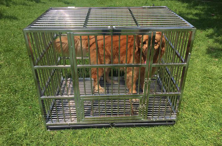 Manufacturer wholesale stainless steel metal large small folding cheap dog house pet cages, carriers
