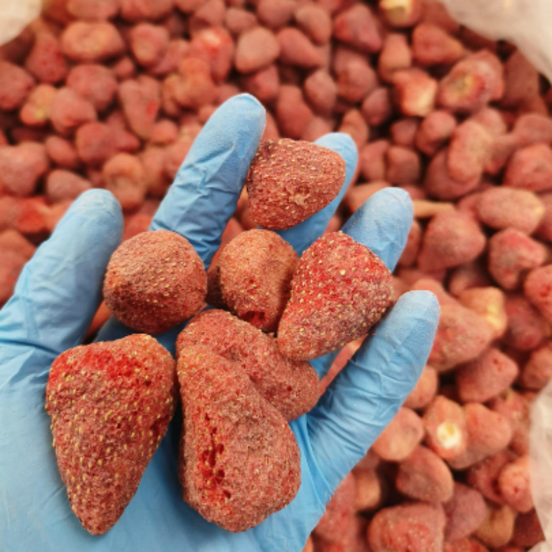 No Additive Freeze Dried Strawberry for Cat and Dog Pet Treats