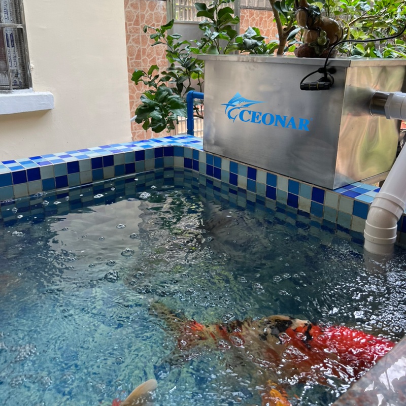 QL-5 Ceonar 3000L/H biological ultraviolet germicidal lamp pond filters aquatic bio filter