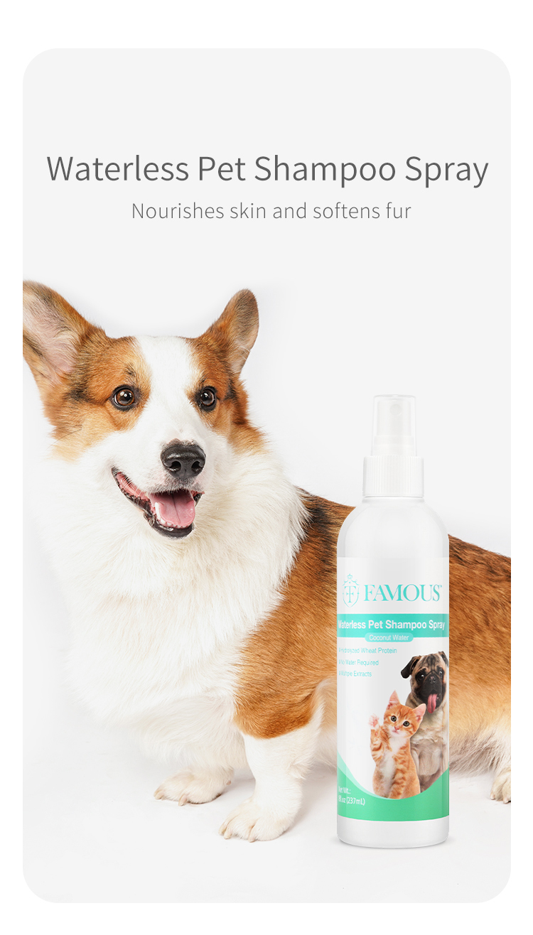 Dog cat small animal shampoo factory Label waterless hair mousse bubble shampoo dog pet dry shampoo foam for home use