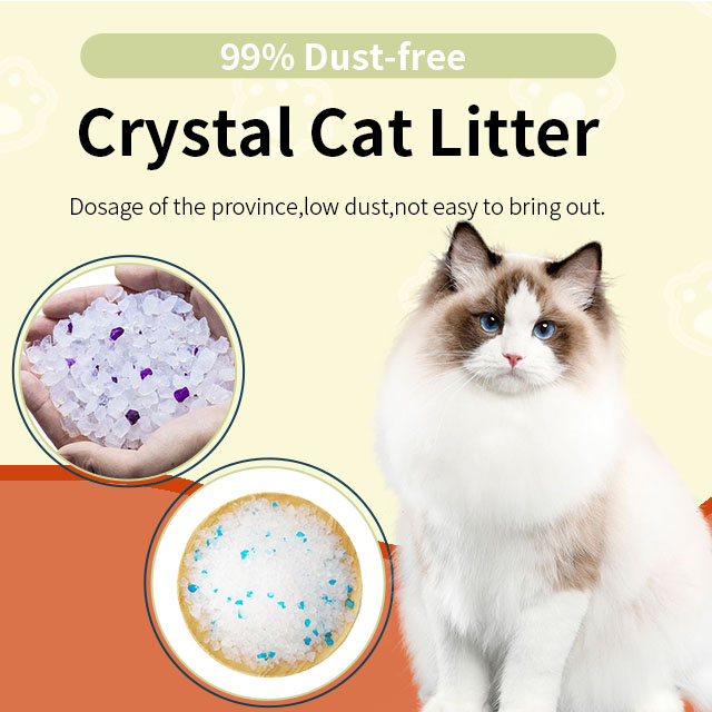 High Quality 5L Wholesale Silica Gel Cat Litter Highly Absorbent Silicone Crystal Cat Litter