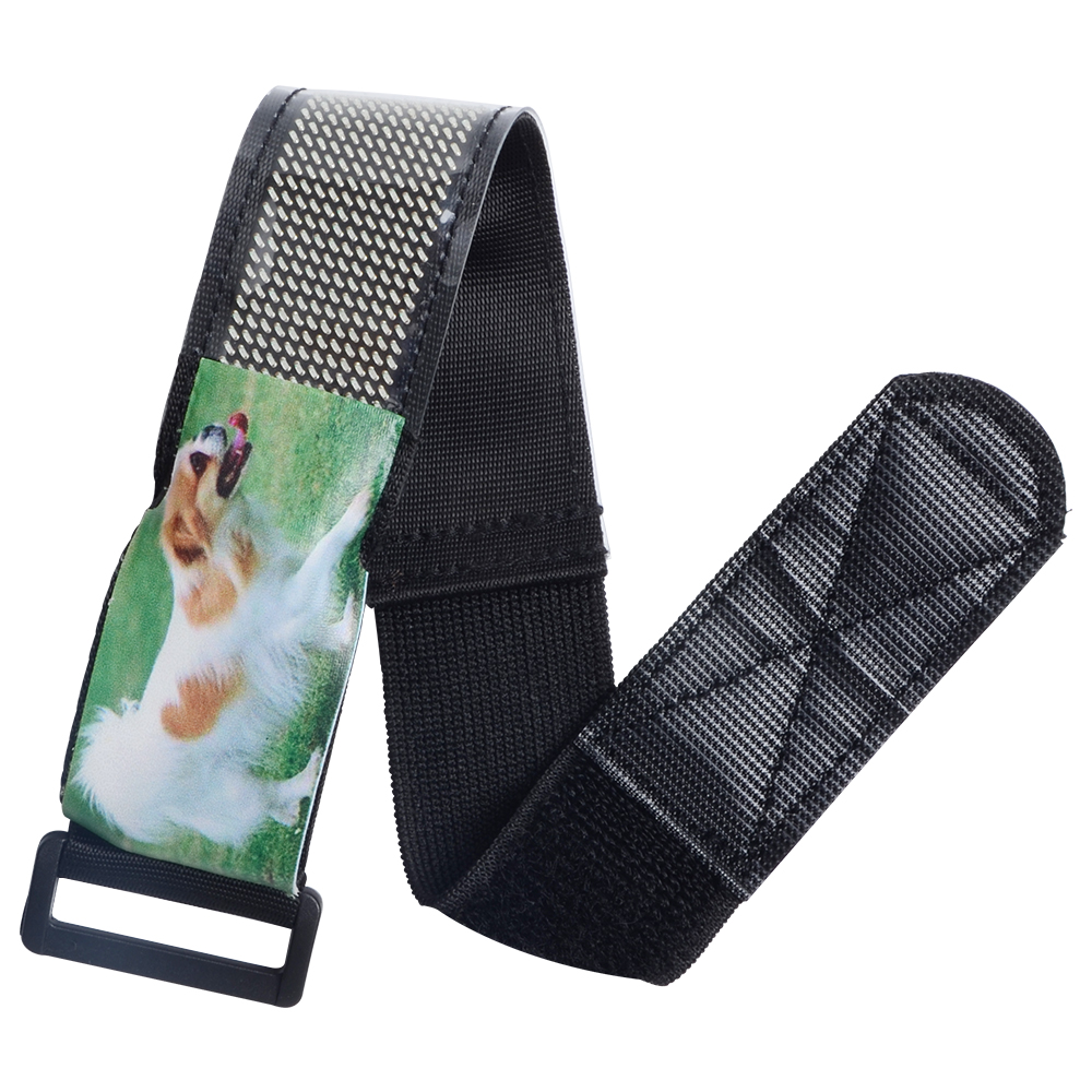 Wholesale DIY LED Display Glowing Collar Luminous Flashing Necklace Outdoor Walking Night Safety Pet Collar With APP Control