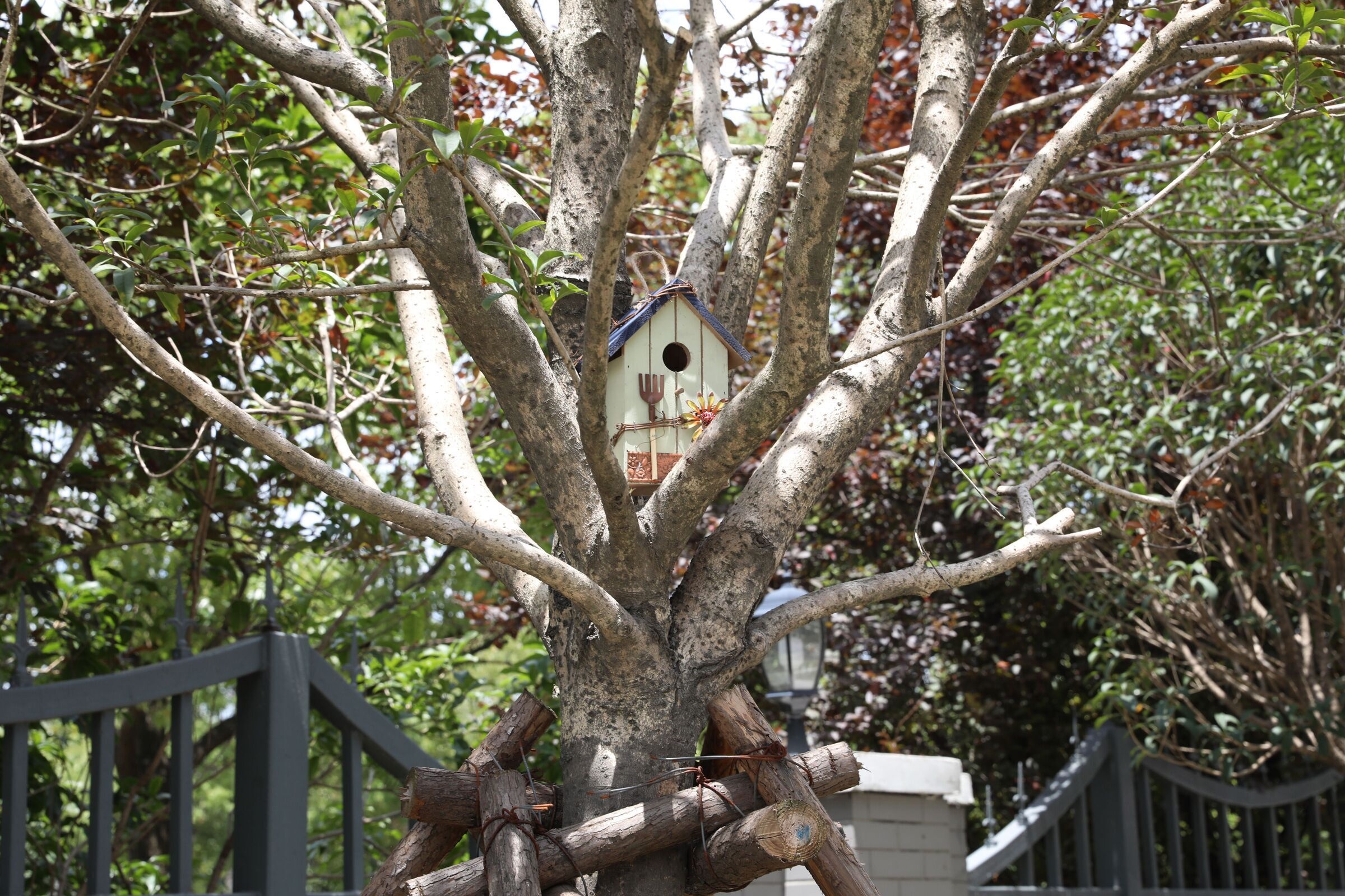 Portable Garden Tree Decoration DIY Wild Painted Animal Bird Cages Hanging Outdoor Wooden Bird House