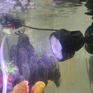 New Product Home Landscape Lighting for Garden Aquarium